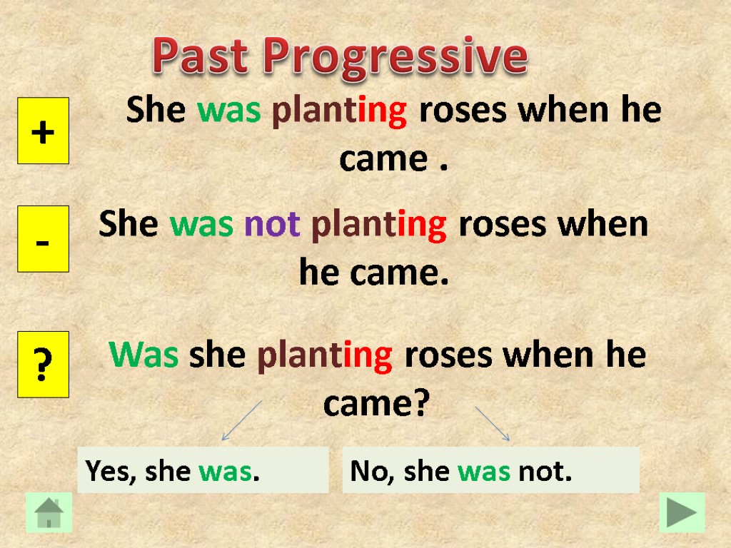Past Progressive She was planting roses when he came . + - ? She